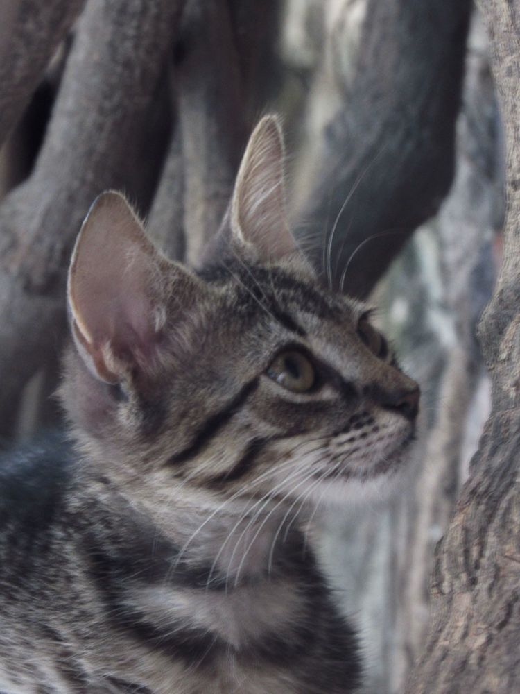 Photograph by Luis Alfredo Morales Torres