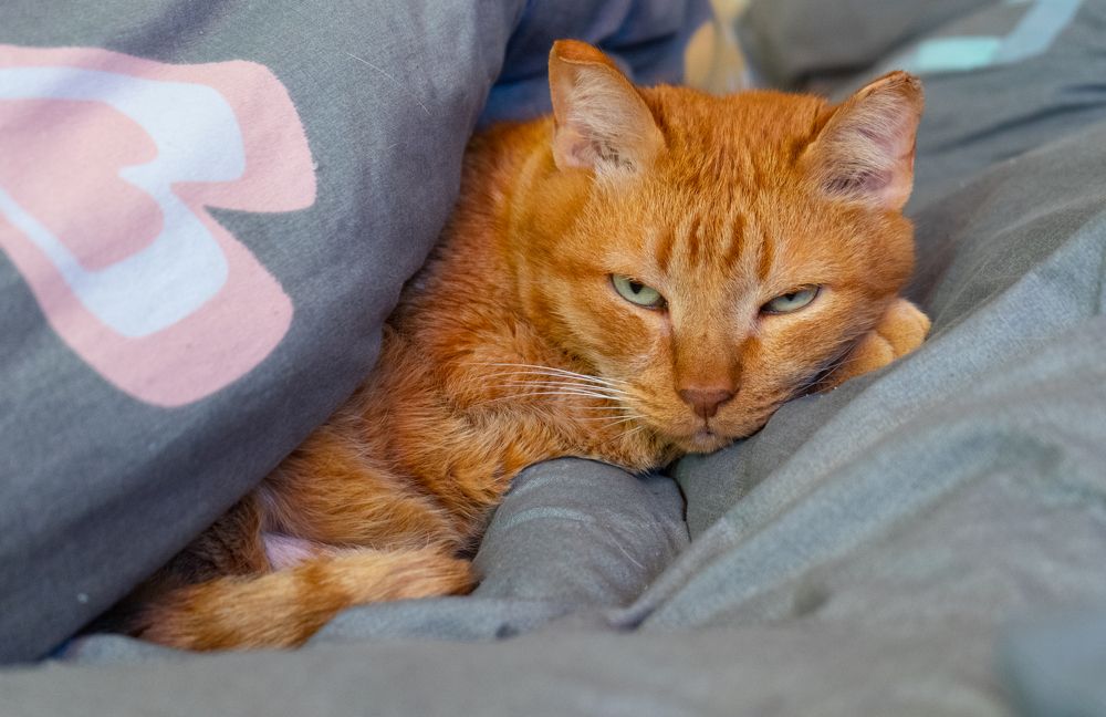 Photograph by Сергей Хранитель