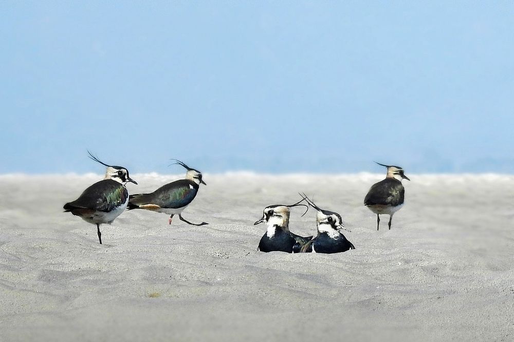 Photograph by Tanusri RoyChowdhury