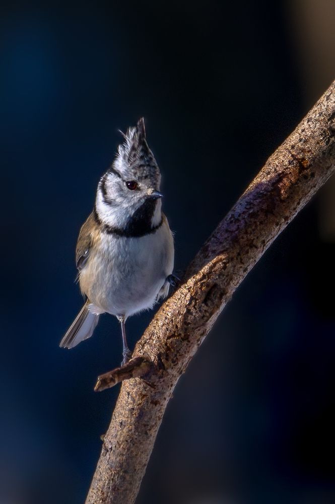 Photograph by Соловьев Александр