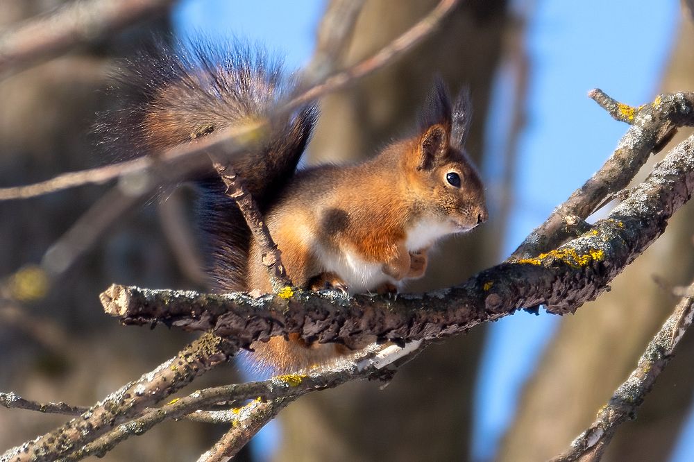 Photograph by Соловьев Александр