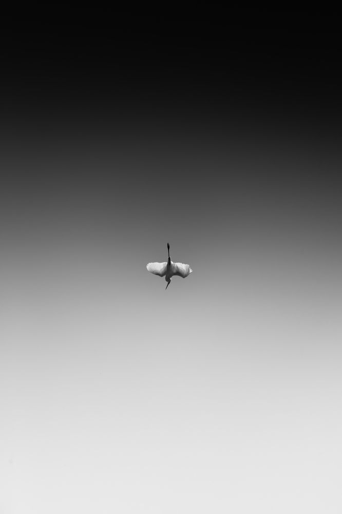 Фотография автора Ivelina Petkova