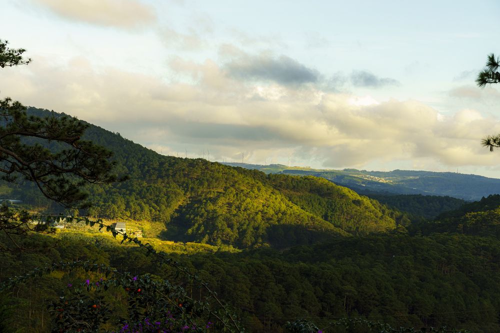 Photograph by Sy Danh