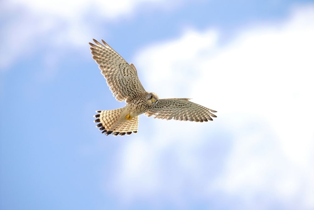 Photograph by андрей