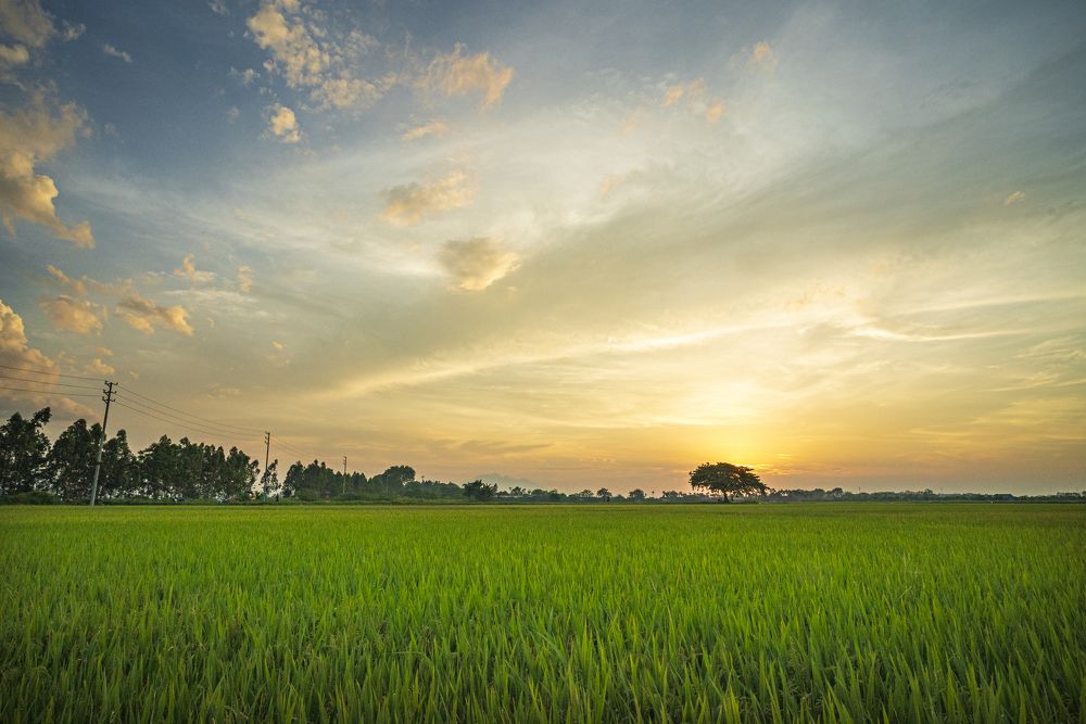 Photograph by Sy Danh