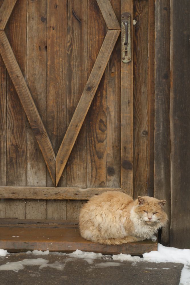 Photograph by Viktor Korotnev