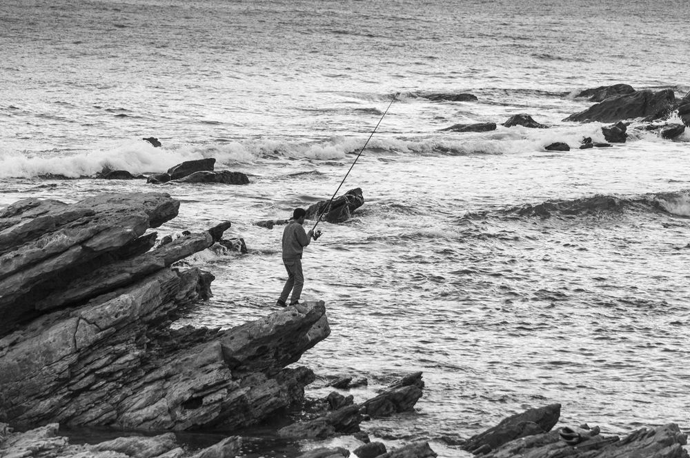 Фотография автора Ryadh Gharbi