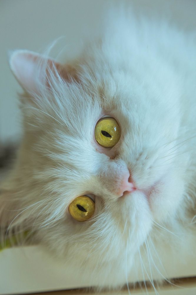 Photograph by Abdulaziz Al Fayz