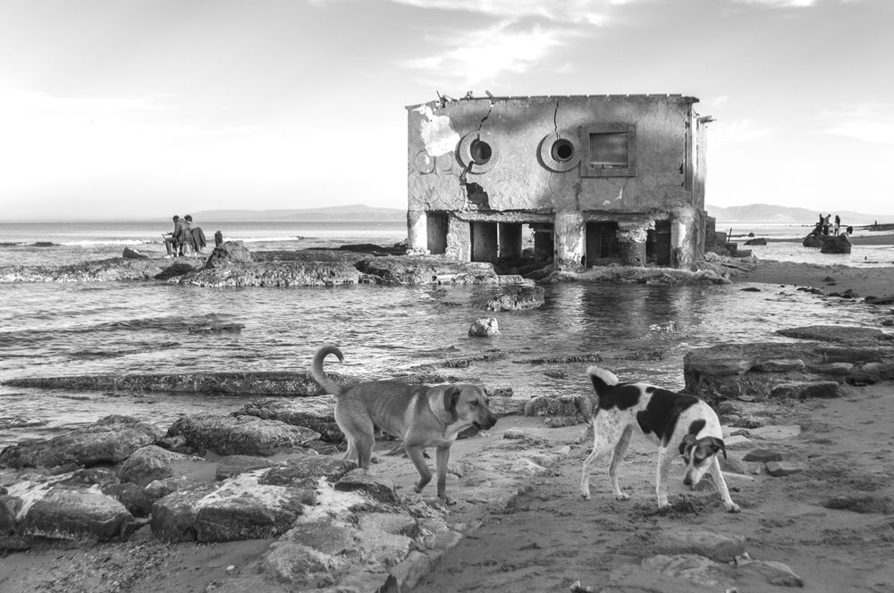 Фотография автора Ryadh Gharbi