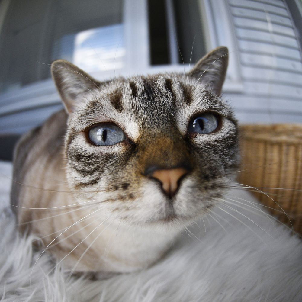 Photograph by Svetlana Goncharova