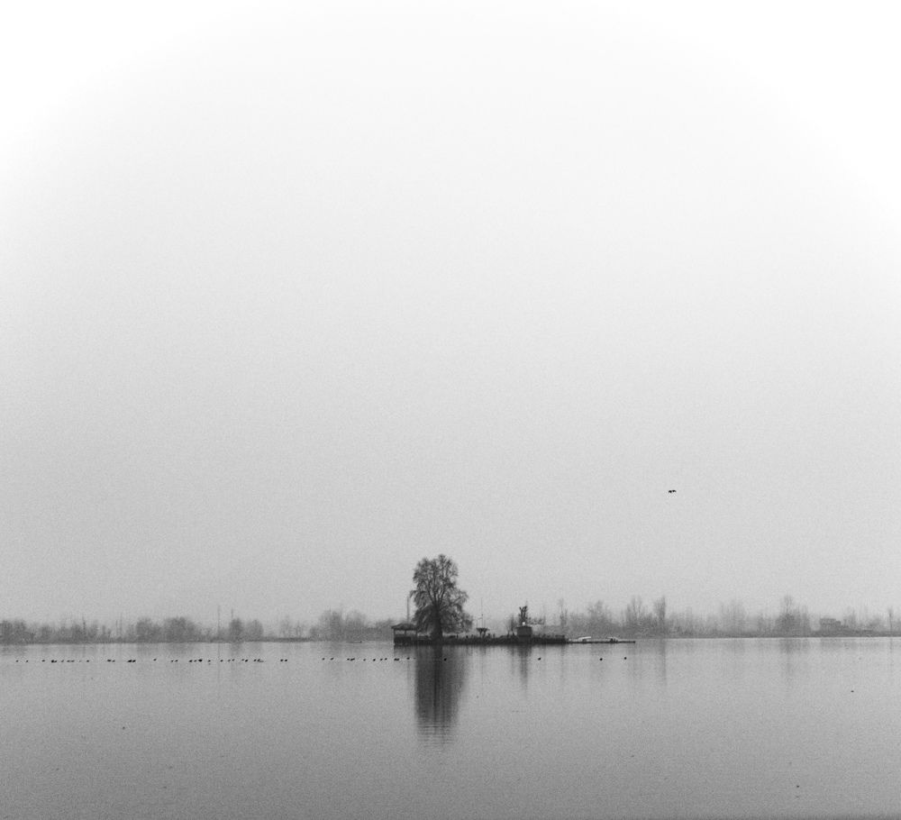 Photograph by Shreya
