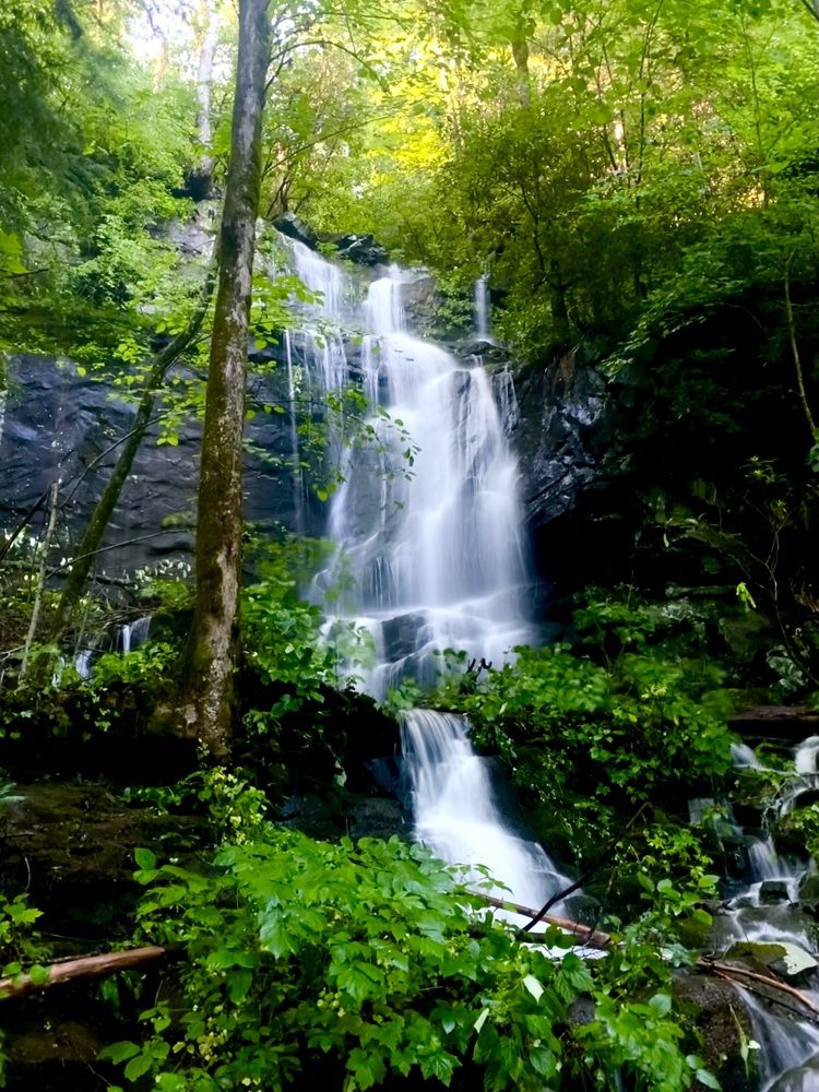 Photograph by Tyler Dewees