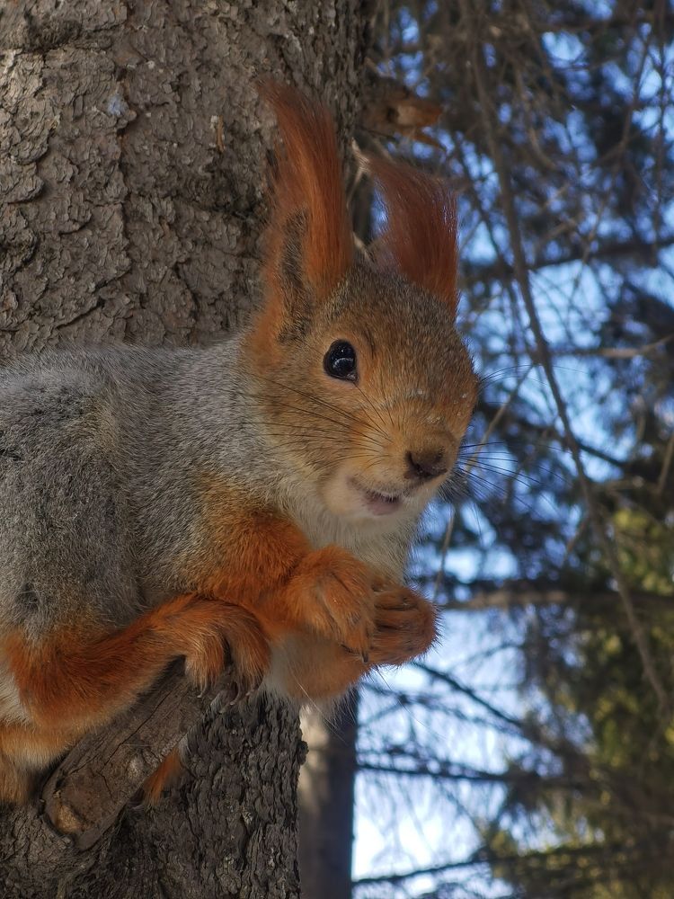 Photograph by Galina Belinskya