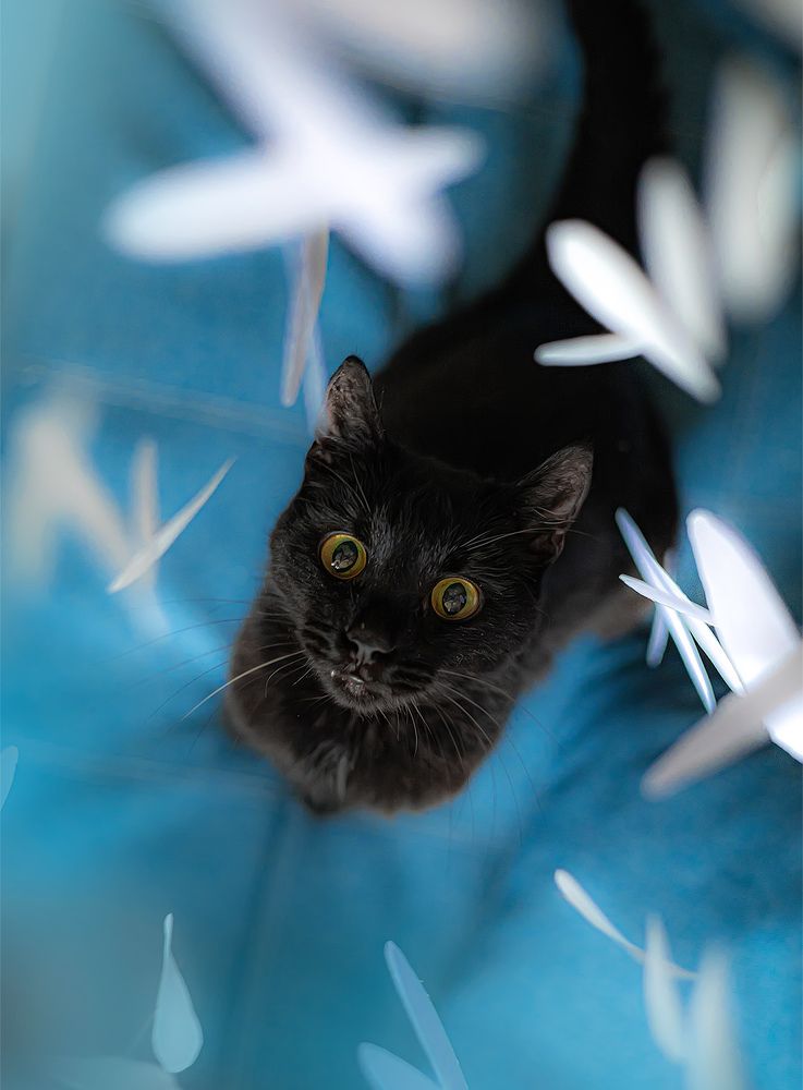 Photograph by Тимохина Юлия