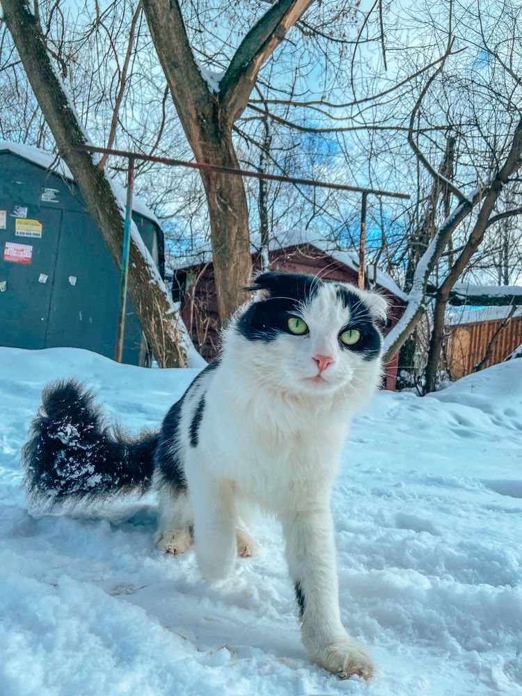 Photograph by Катерина