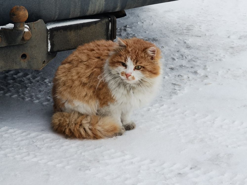 Photograph by Елена