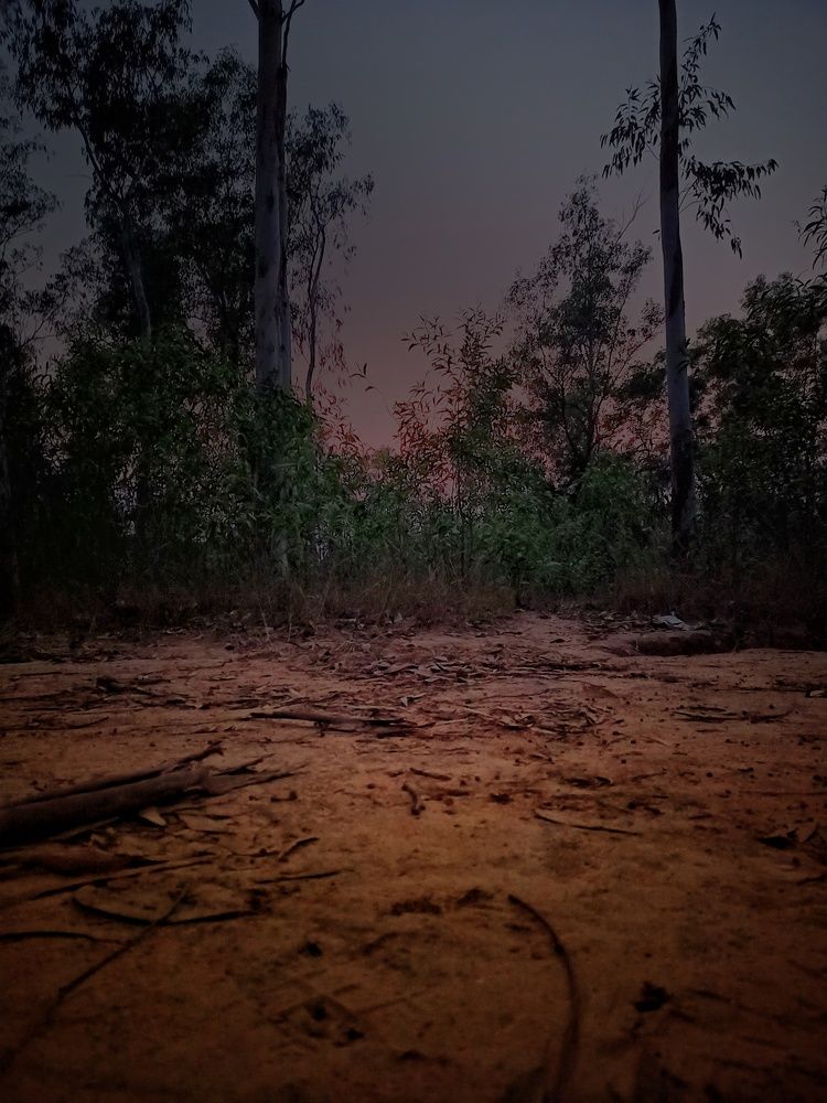 Photograph by Amit Bhattacharjee