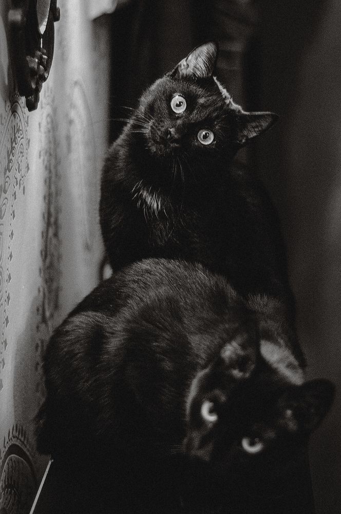 Photograph by Тимохина Юлия