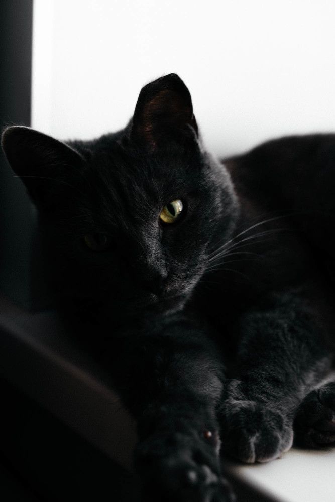 Photograph by Татьяна Шишляева