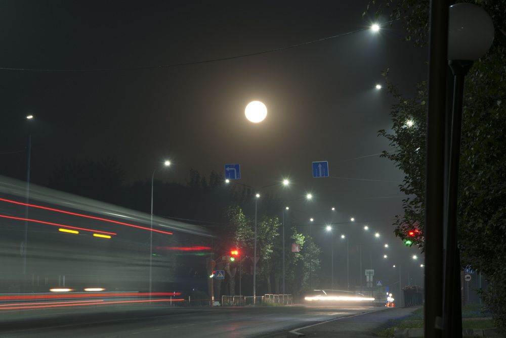 Photograph by Дубровин Николай