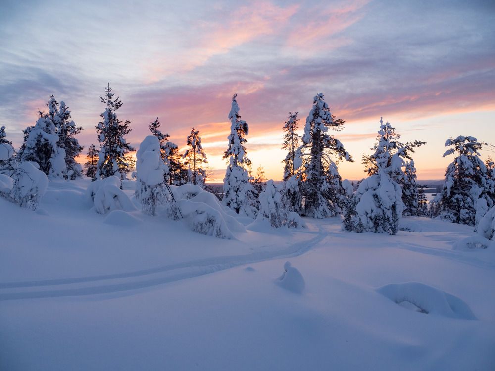 Photograph by Анна Шейко