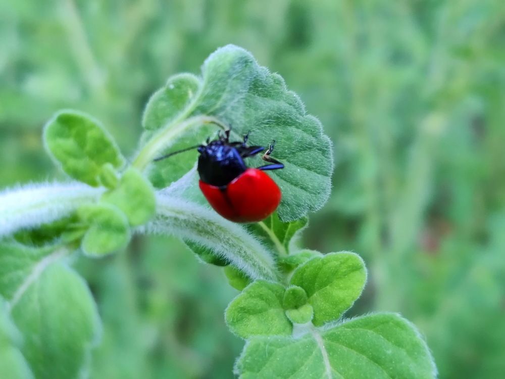 Photograph by Елена Якимова