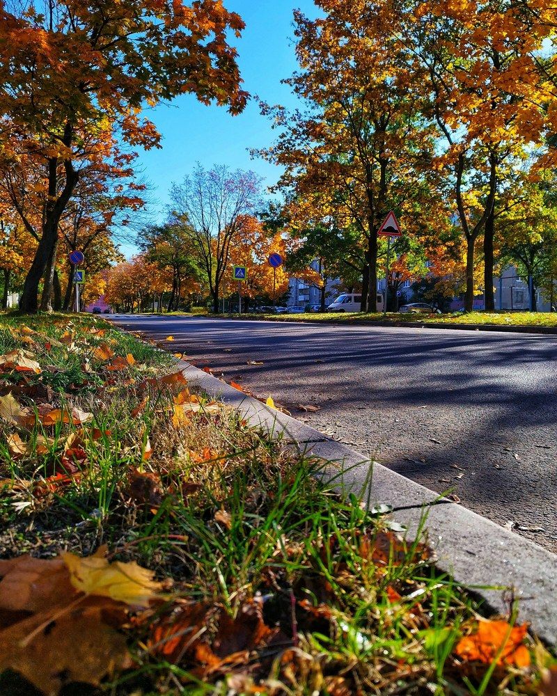 Photograph by Larisa Sheshko