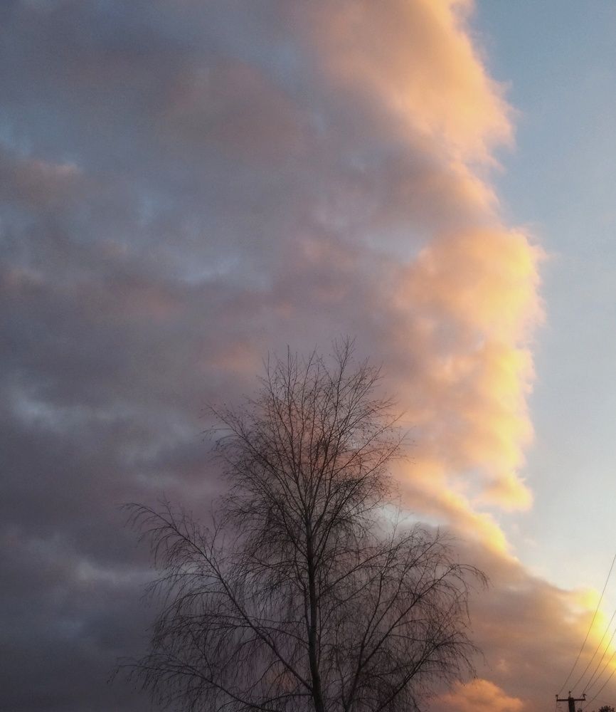 Photograph by Олег Ниделков