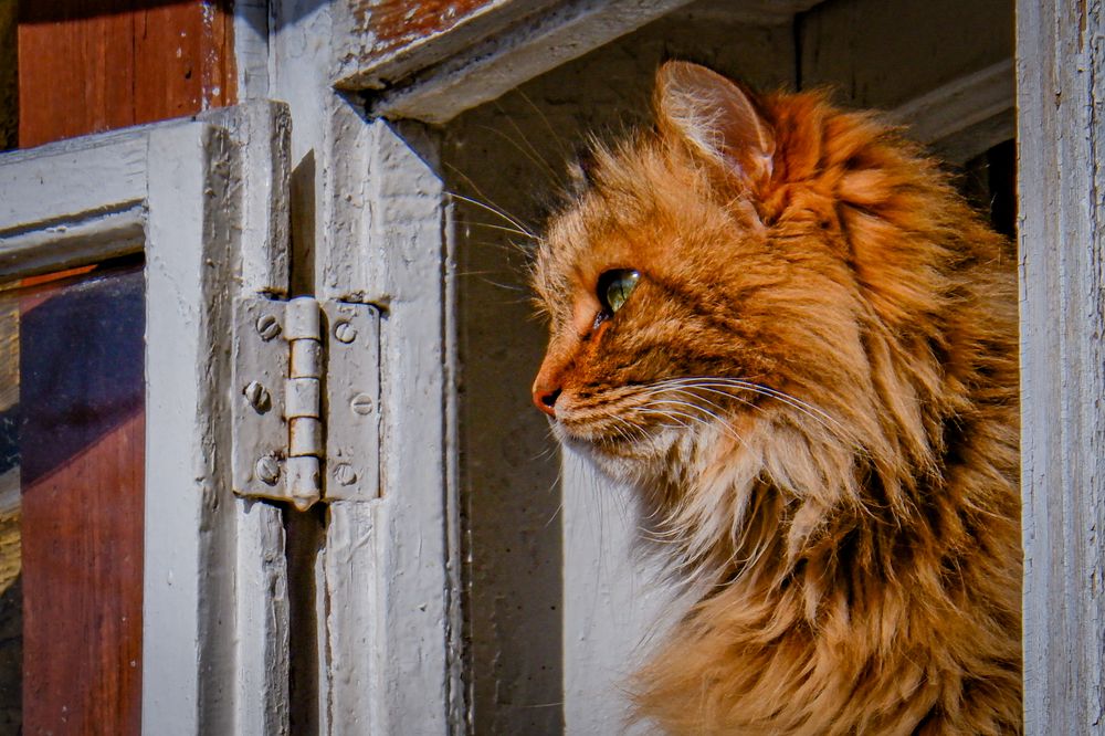 Photograph by Ольга Тюрина