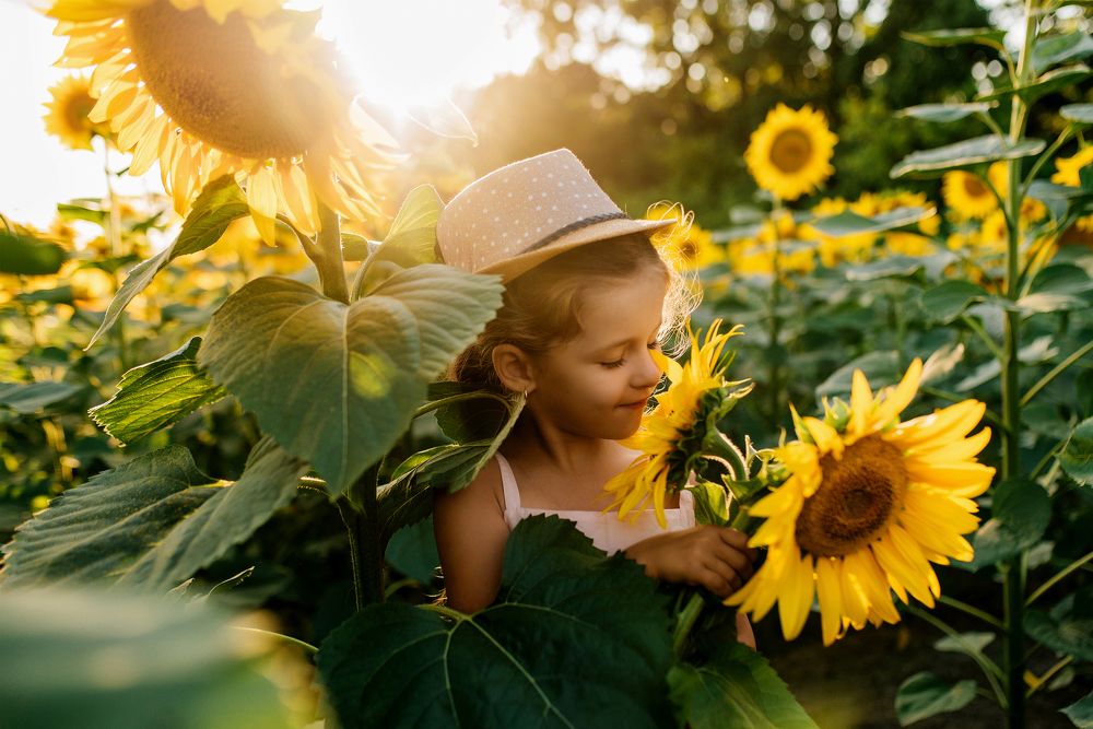 Photograph by Ольга Меркулова