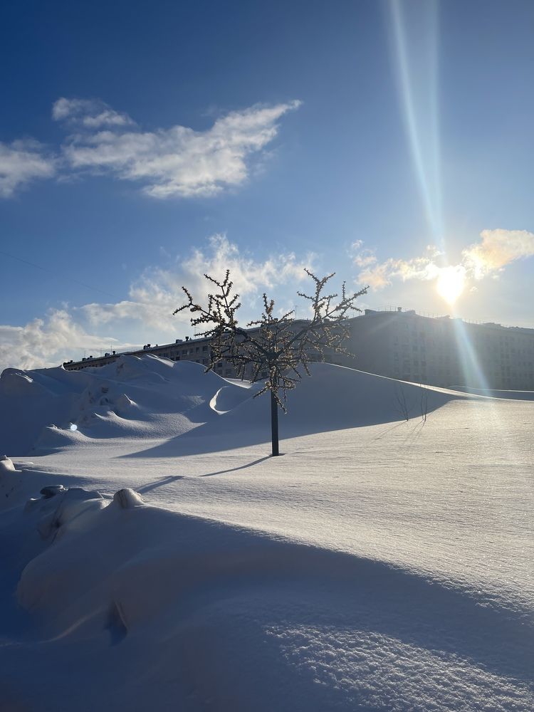 Photograph by Яна Жилкина