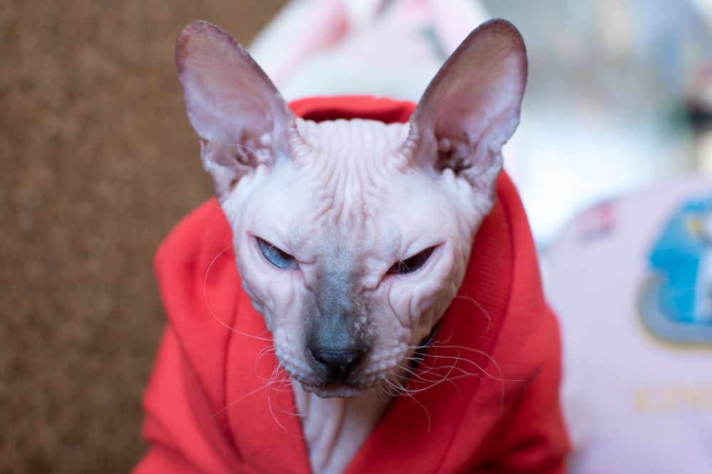 Да, я Ваш новый директор.