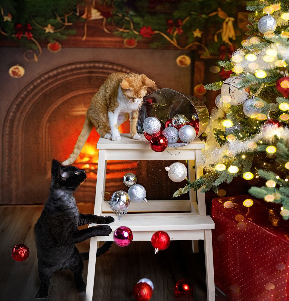 Фотография автора Irina Kozhemyakina