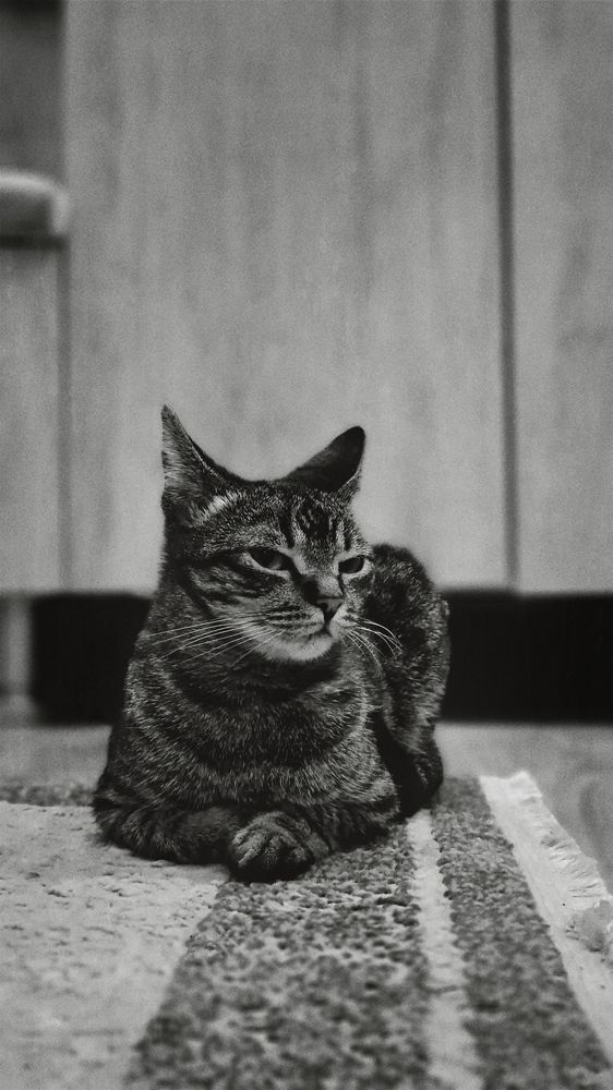 Photograph by Лана Агрба