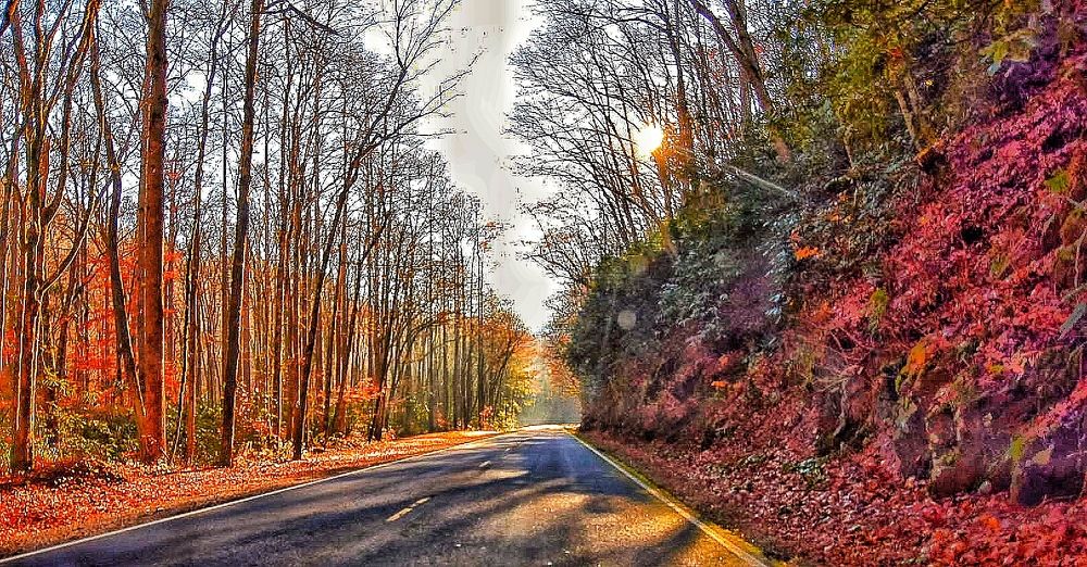 Photograph by Tyler Dewees