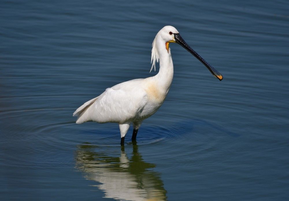 Photograph by Dagmara Giller