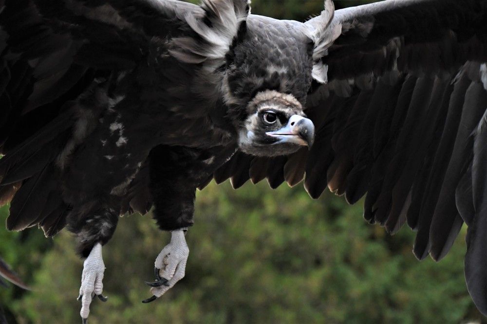 Photograph by Dagmara Giller