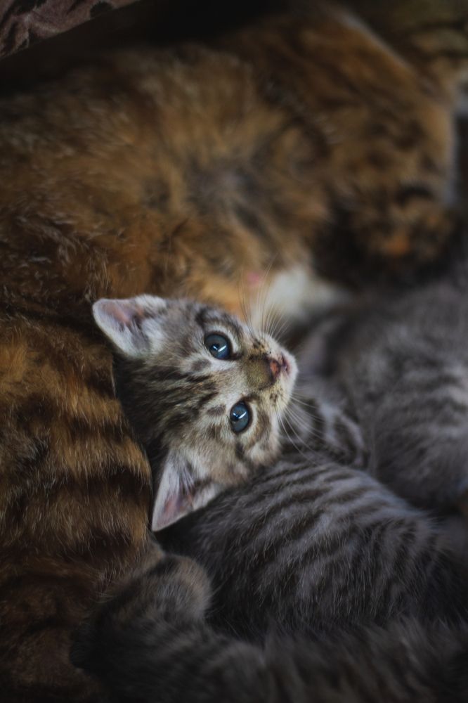 Photograph by Максим Пономарев