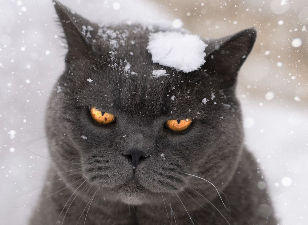 Photograph by Ирина Ефимова