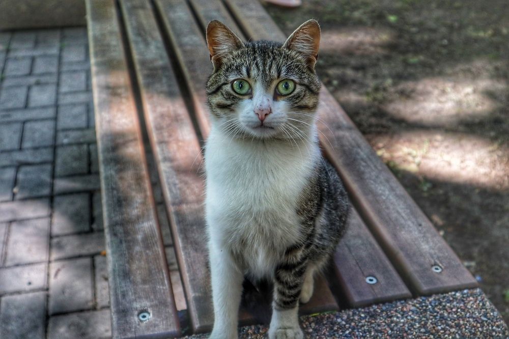 Photograph by Екатерина Ефимова