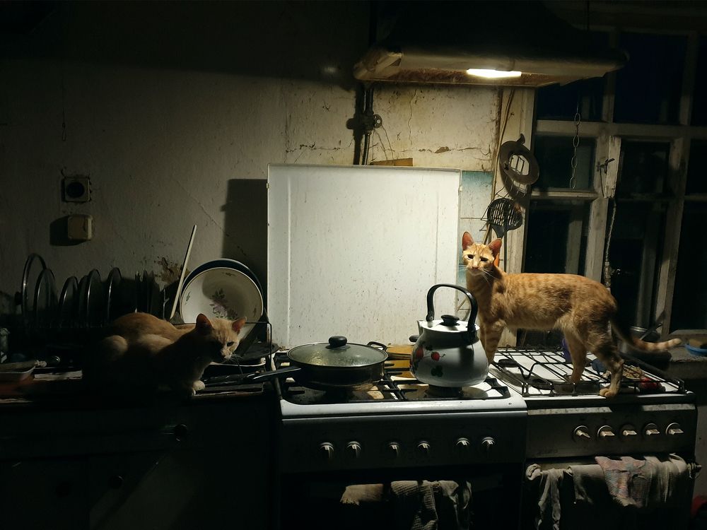 Photograph by Елена Быханова