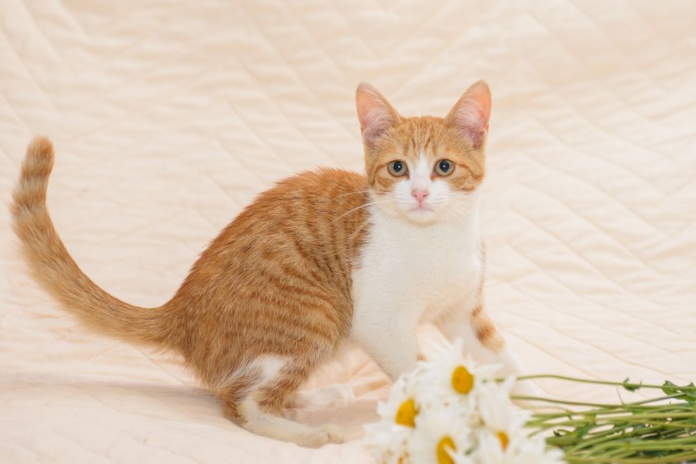 Photograph by Елена Маслова