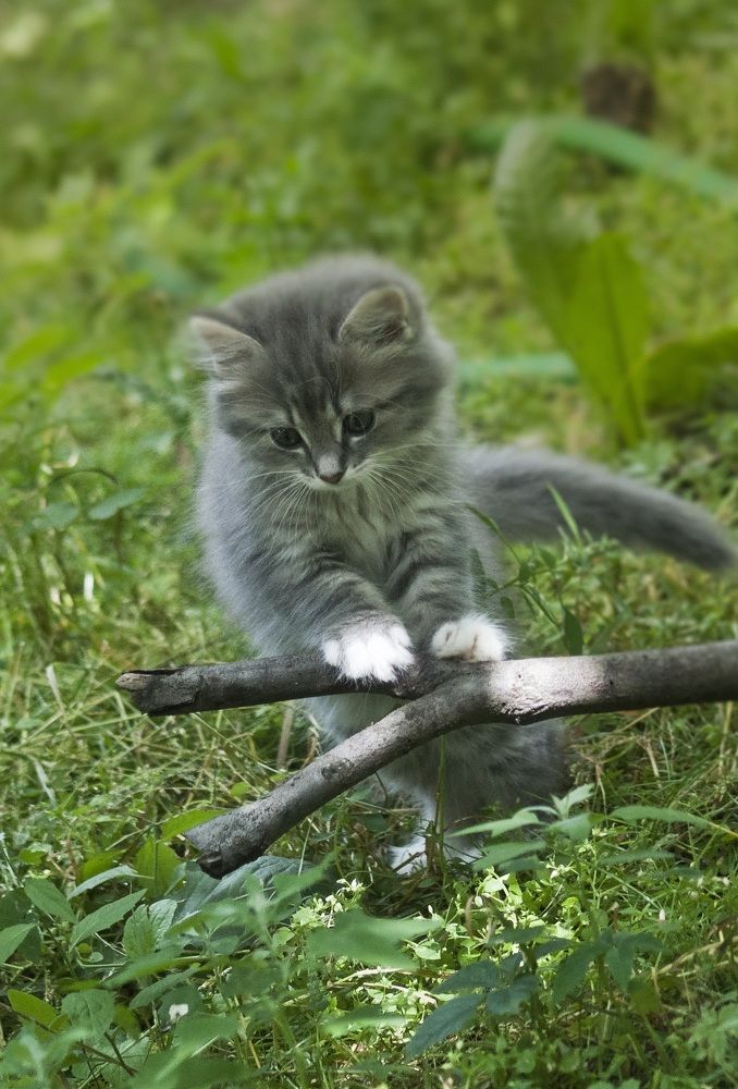 Photograph by Дмитрий Жуков