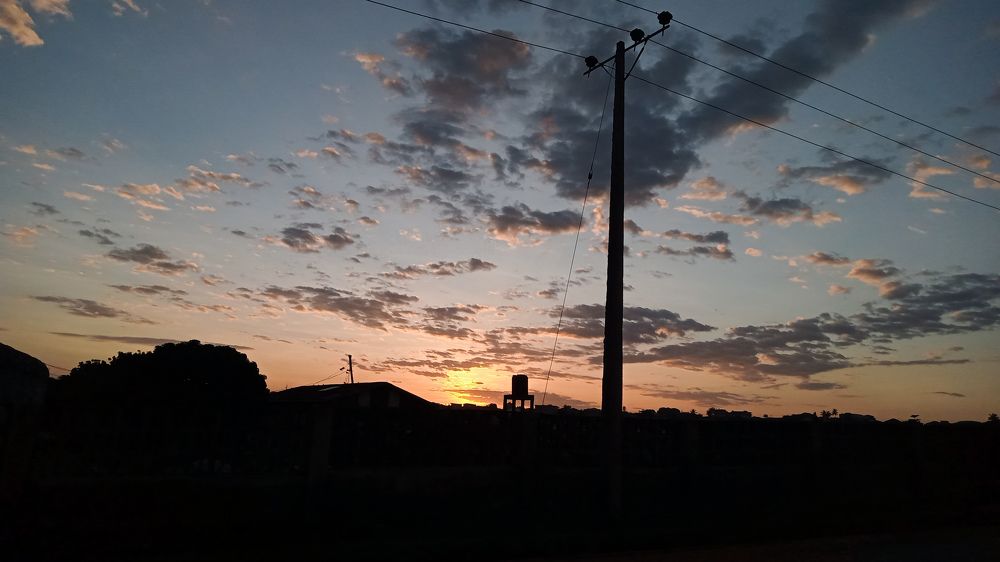 Photo #8992897