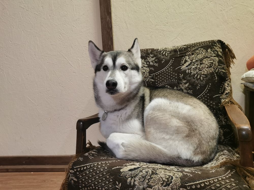 Photograph by Елена