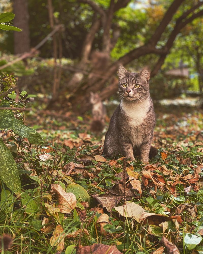 Photograph by Ольга Галкина