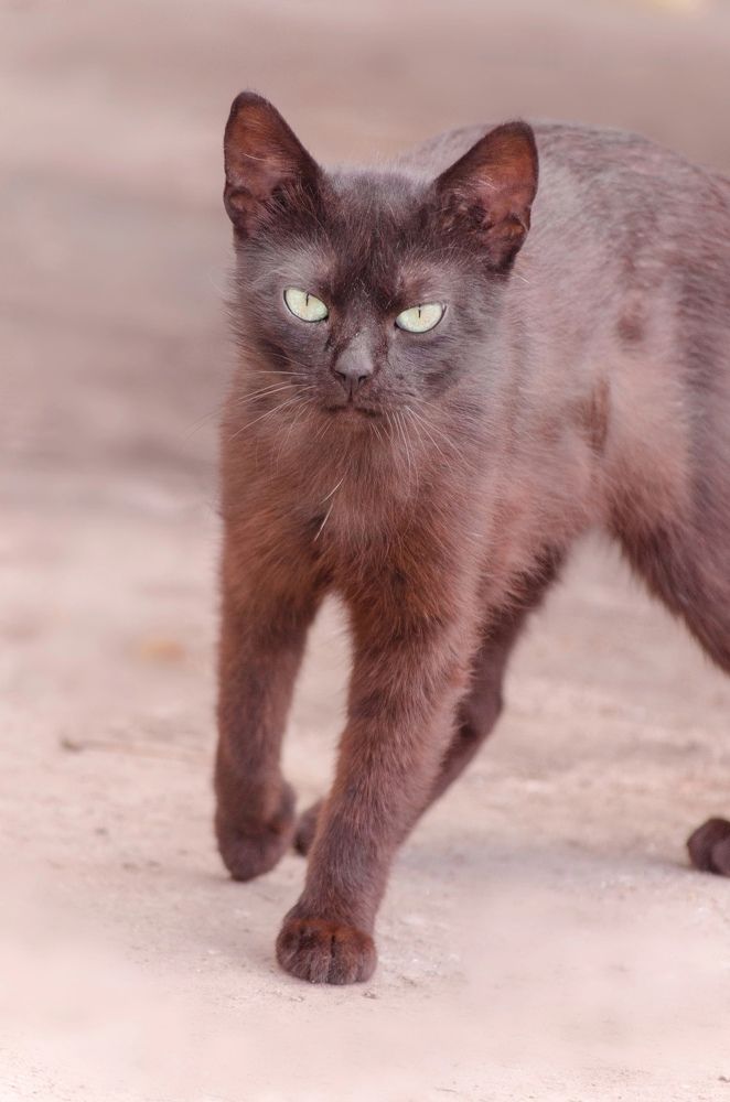 Photograph by Olga Matveeva