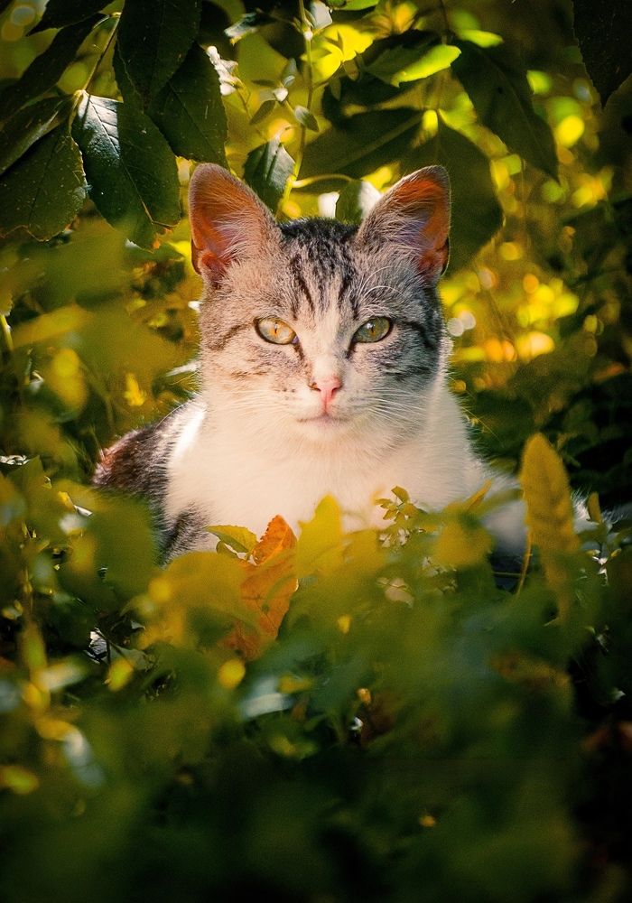 Photograph by Olga Matveeva