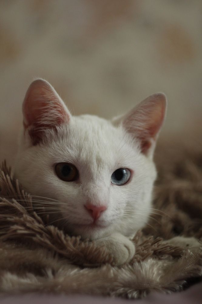 Photograph by Никита Савкин