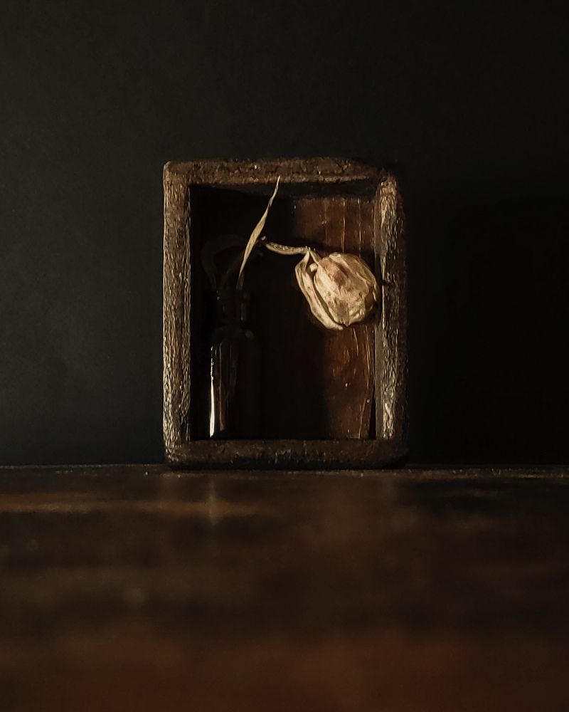 Photograph by Ольга Голованова